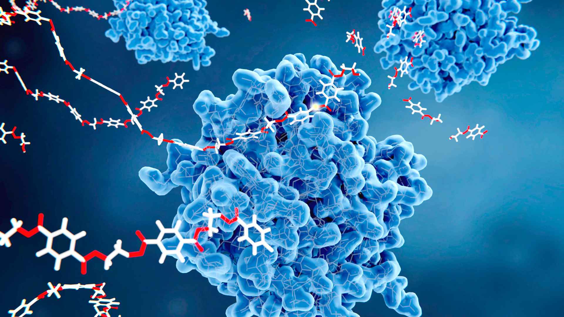 Enzyme Kinetics