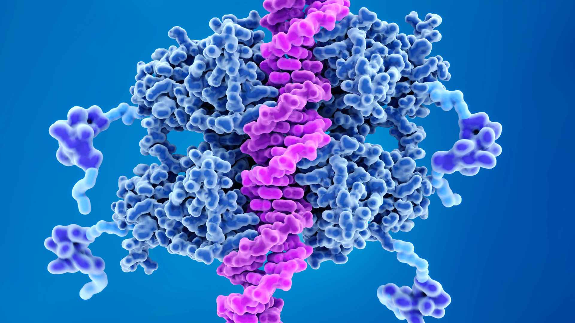 Protein Drug Interaction