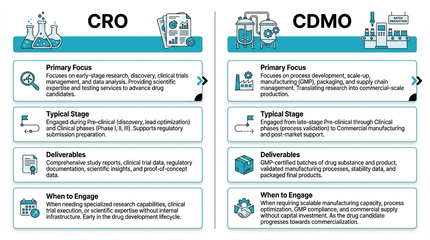 CRO vs CDMO comparison for pharmaceutical development services