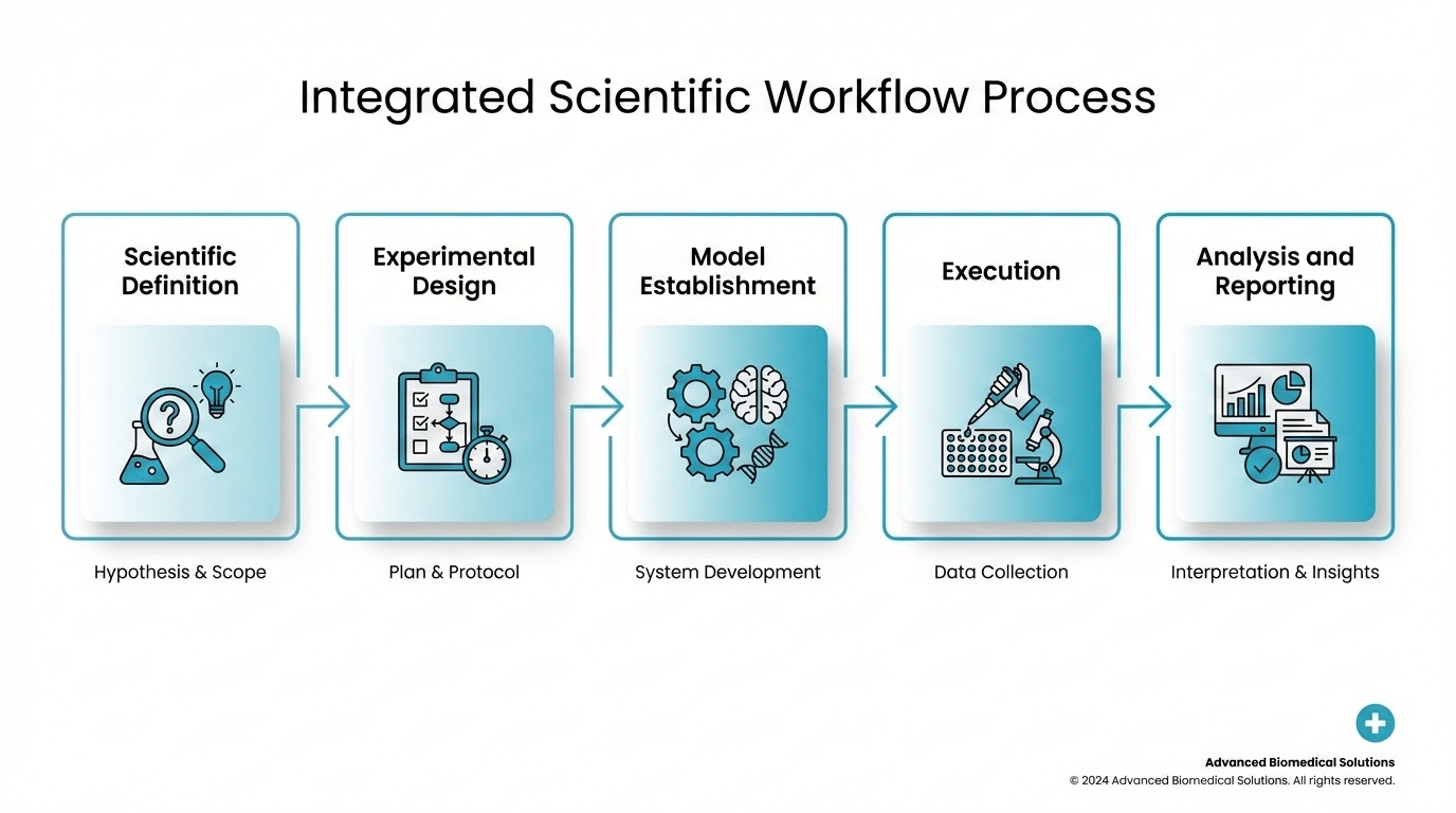 Workflow diagram showing the five stages of ex vivo assay services from scientific definition to final report