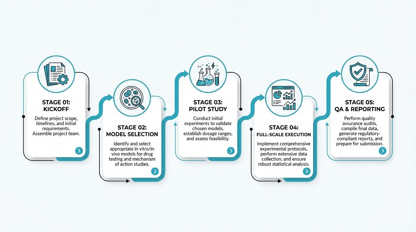 Typical pharmaceutical development workflow stages